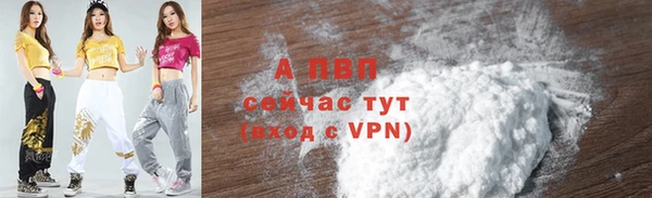 стафф Арсеньев