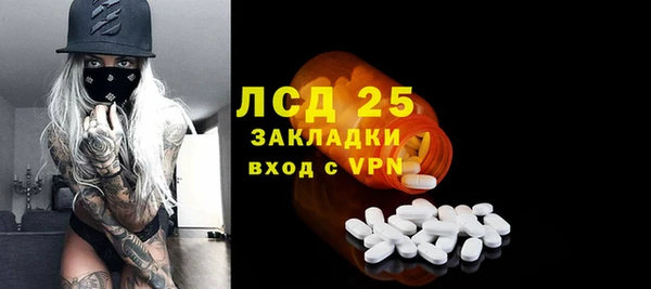 стафф Арсеньев