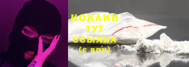 сатива Аркадак