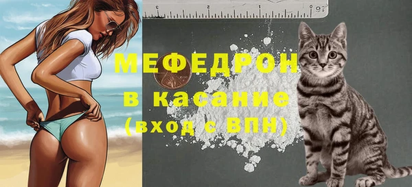 сатива Аркадак