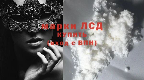 сатива Аркадак