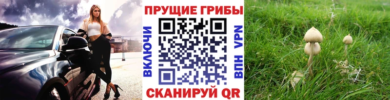 Галлюциногенные грибы ЛСД Ленск